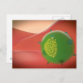 自然免疫系キラー細胞 ポストカード (正面/裏面)