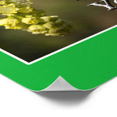 自然写真と詩篇86:1-7 ポスター (角)