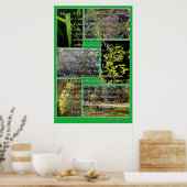 自然写真と詩篇86:1-7 ポスター (キッチン)