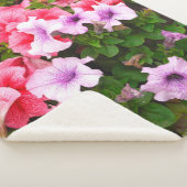 自然写真は美しいペチュニアの花。計画 シェルパブランケット (3/4)