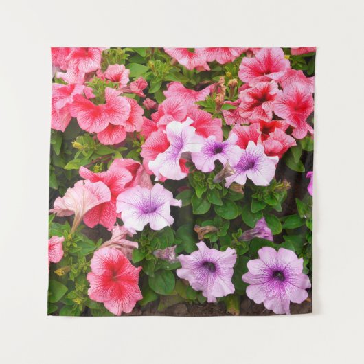 自然写真は美しいペチュニアの花。計画 タペストリー (正面)