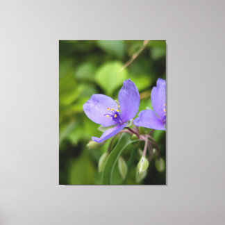 自然写真キャンバスプリント キャンバスプリント