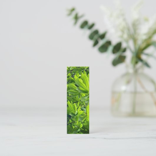 自然写真グリーン離れブックマークNew Leaf スキニー名刺 (スタンド正面)