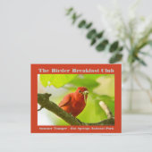 自然写真サマータナガーバーダー ポストカード (スタンド正面)