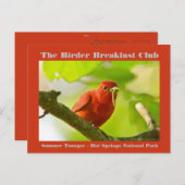 自然写真サマータナガーバーダー ポストカード (正面/裏面)