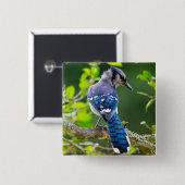 自然写真シャイ青ジェイのアパレルギフト 缶バッジ (正面&裏面)