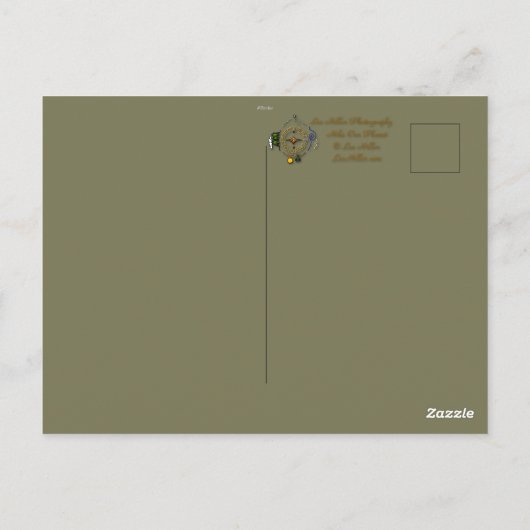 自然写真シャイ青ジェイのバーダーカード ポストカード (裏面)