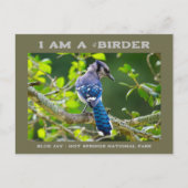 自然写真シャイ青ジェイのバーダーカード ポストカード (正面)