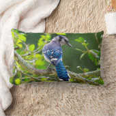 自然写真シャイ青ジェイ腰枕 ランバークッション (ブランケット)