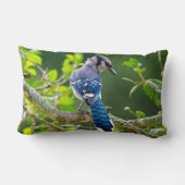 自然写真シャイ青ジェイ腰枕 ランバークッション (裏面)