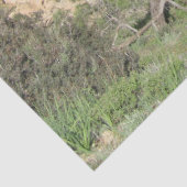 自然写真地中海の山海 薄葉紙 (詳細)