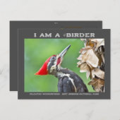 自然写真用眼鏡カード ポストカード (正面/裏面)