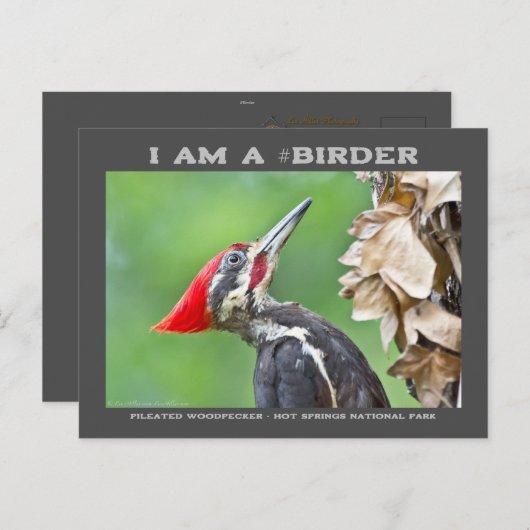 自然写真用眼鏡カード ポストカード (正面/裏面)