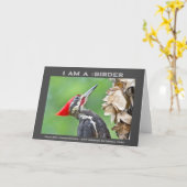 自然写真用眼鏡 カード (黄色い花)