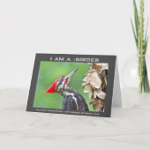 自然写真用眼鏡 カード (正面)