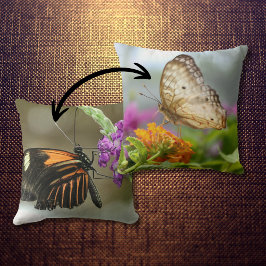 自然写真蝶の花 クッション