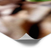 自然写真、スプリングタイムのFIddlemhead Fern ポスター (角)