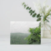 自然写真 ポストカード (スタンド正面)