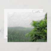 自然写真 ポストカード (正面/裏面)