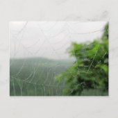 自然写真 ポストカード (正面)