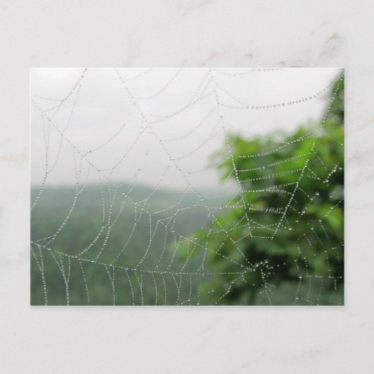 自然写真 ポストカード (正面)