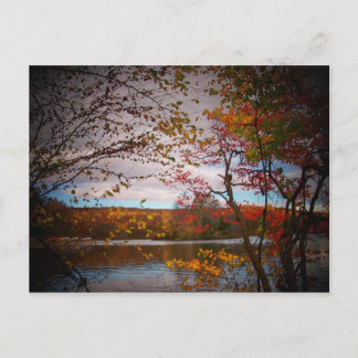 自然写真 ポストカード