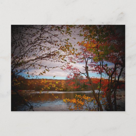 自然写真 ポストカード (正面)