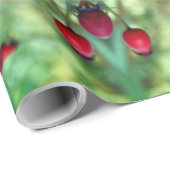 自然包装紙 ラッピングペーパー (ロールコーナー)