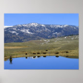 自然反射 ポスター (正面)