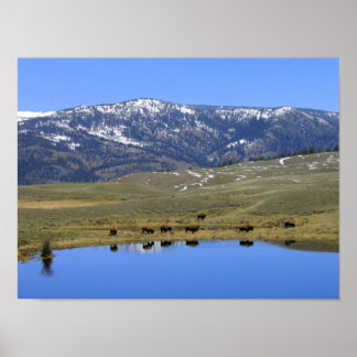 自然反射 ポスター