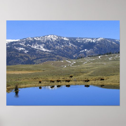 自然反射 ポスター (正面)