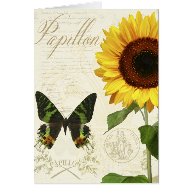 自然史のスケッチブックIII (正面)