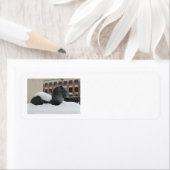 自然史博物館、アン・アーバー、MIラベル ラベル (インサイチュ)