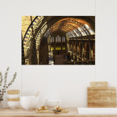 自然史博物館 ポスター (キッチン)