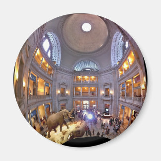 自然史博物館 マグネット