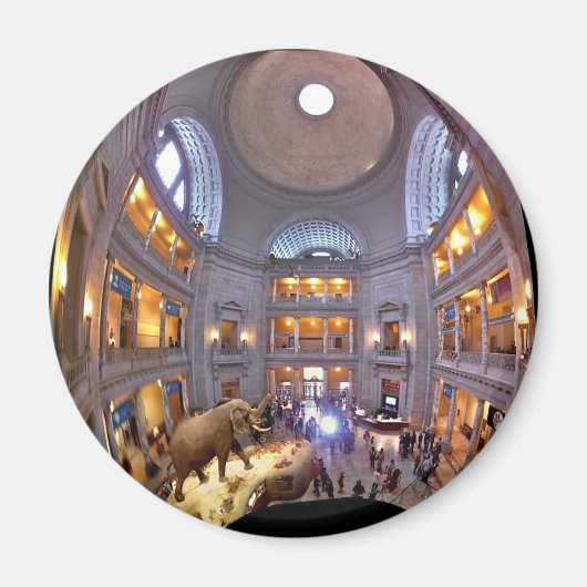 自然史博物館 マグネット (正面)