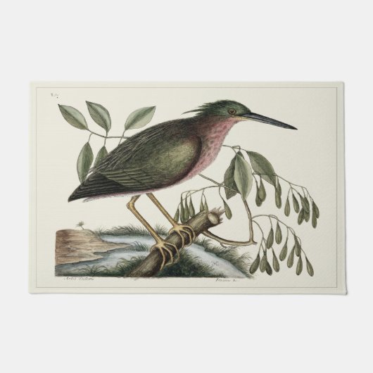 自然史24" x 36"ドア・マットの玄関マット ドアマット (正面)