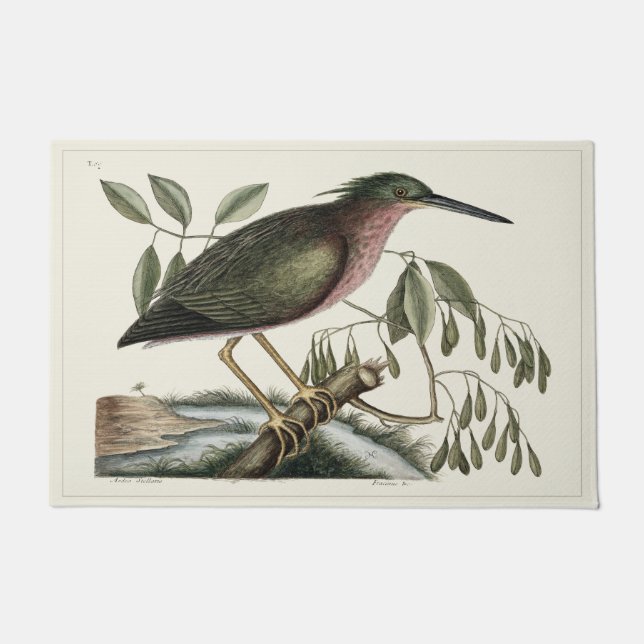 自然史24" x 36"ドア・マットの玄関マット ドアマット (正面)