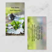 自然名刺テンプレート 名刺 (正面/裏面)
