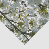 自然吸気さくらんぼ 薄葉紙 (詳細)