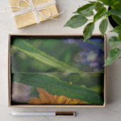 自然吸気オレンジ遊デイジーピークアブー 薄葉紙 (ギフト)