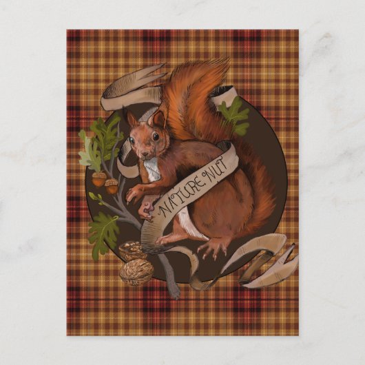自然好きなリスのファン ポストカード (正面)