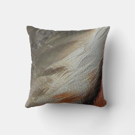 自然子供部屋羽毛グレイ男女兼用ブラウン クッション (裏面)