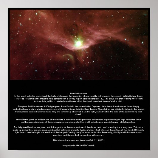 自然小宇宙 ポスター (正面)