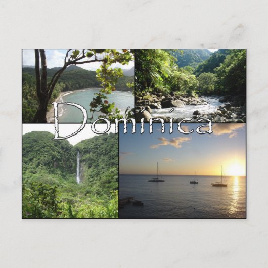 自然島のポストカードの表示 ポストカード (正面)