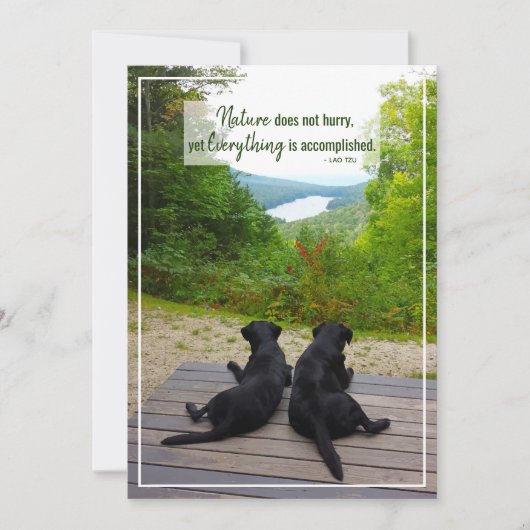 自然急がないライフ感動的引用文 カード (正面)