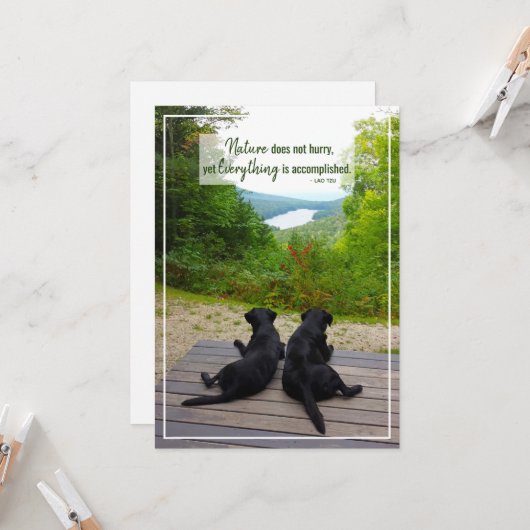 自然急がないライフ感動的引用文 カード (正面/裏面インサイチュ)