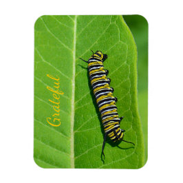 自然恋人への感謝 マグネット