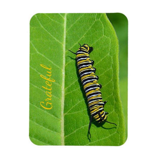 自然恋人への感謝 マグネット (縦)