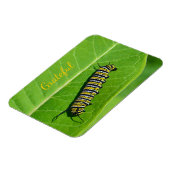 自然恋人への感謝 マグネット (左側)